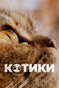 Котики (2023)