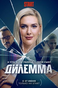 Дилемма. Сериал (2024)